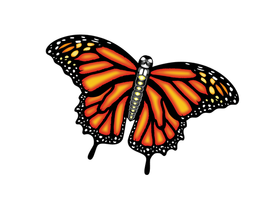 55 Inch Wide Supersize Ultra Monarch Butterfly Ripstop Nylon Kite