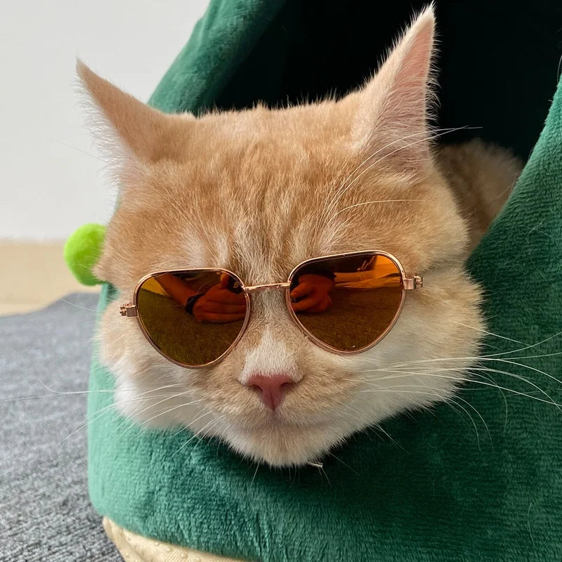 Non-Slip Pet Sunglasses for Cats and Small Dogs