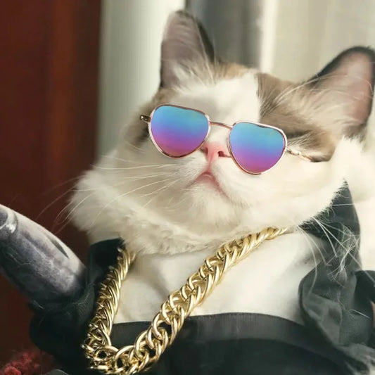 Non-Slip Pet Sunglasses for Cats and Small Dogs