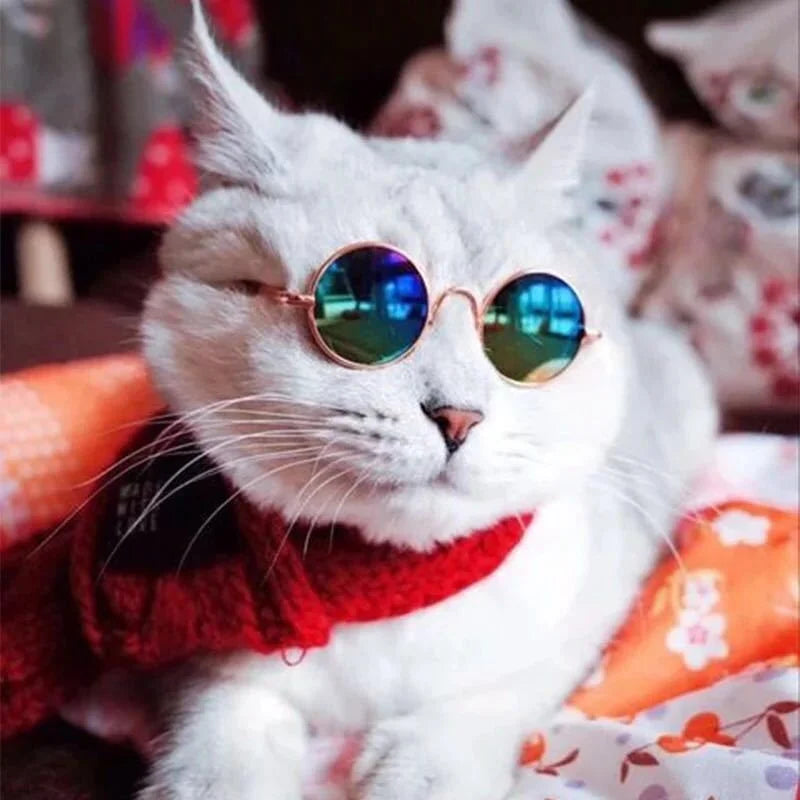 Non-Slip Pet Sunglasses for Cats and Small Dogs