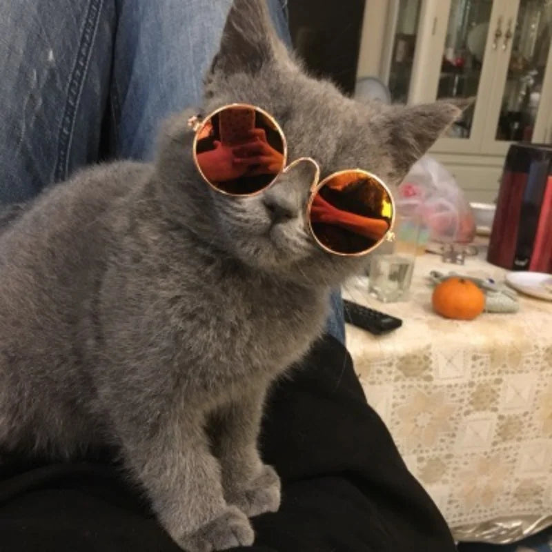Non-Slip Pet Sunglasses for Cats and Small Dogs